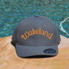 Gray athletic cap with school name embroidered on the front